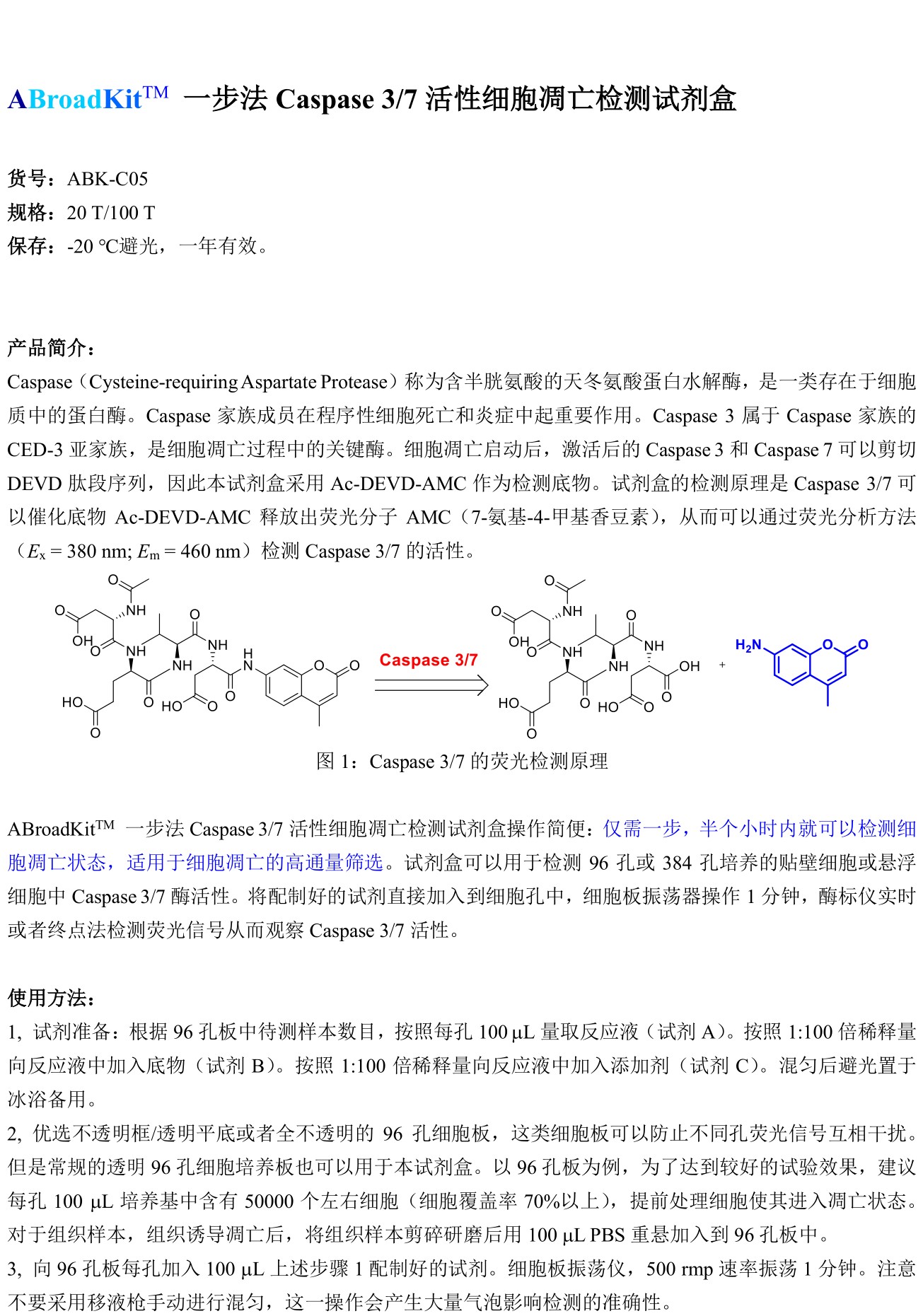ABroadKit 一步法Caspase 3，7 活性细胞凋亡检测试剂盒 使用说明书_17431391339621.jpg
