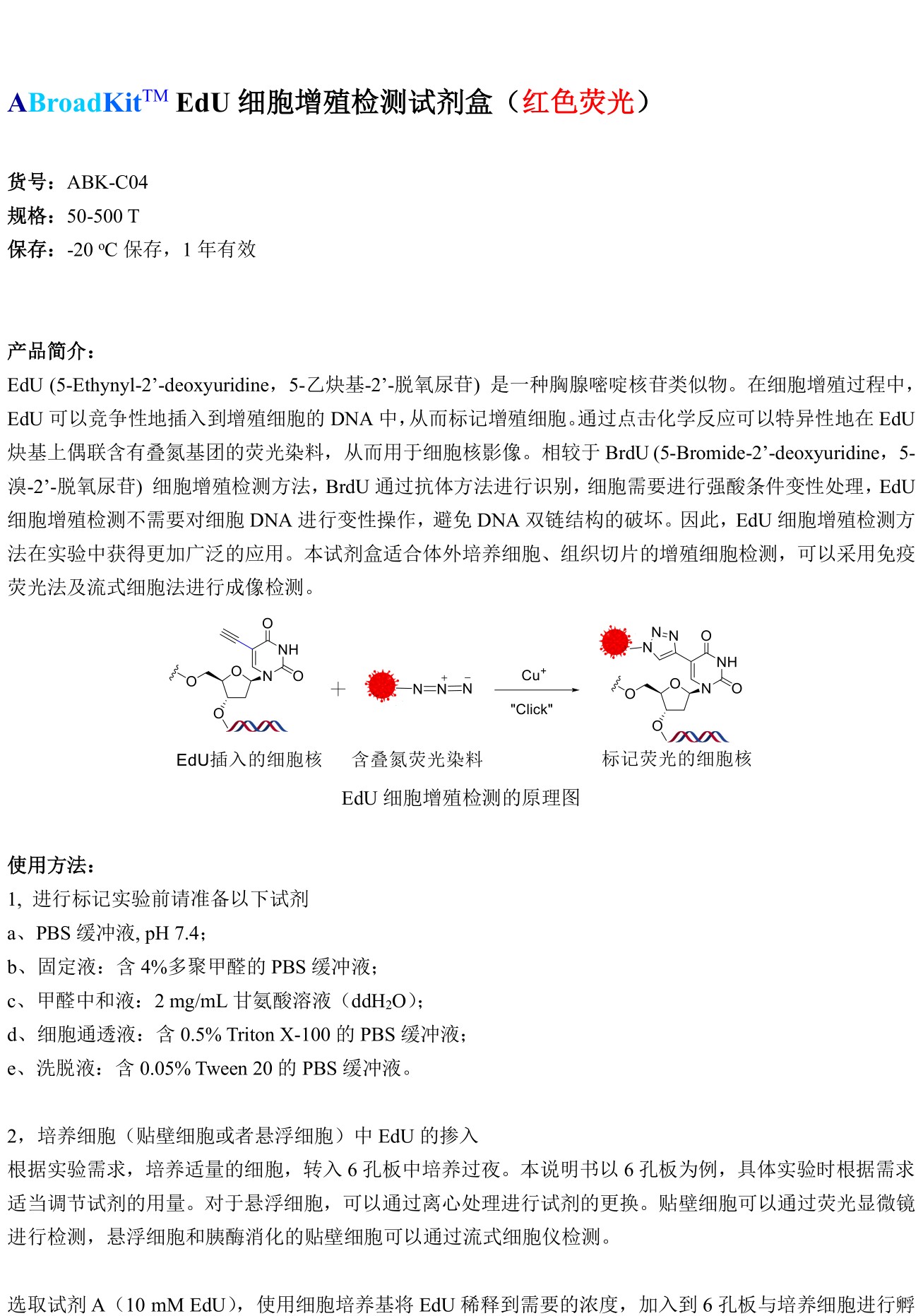 ABroadKit EdU细胞增殖试剂盒（红色荧光）使用说明书_17433869781031.jpg