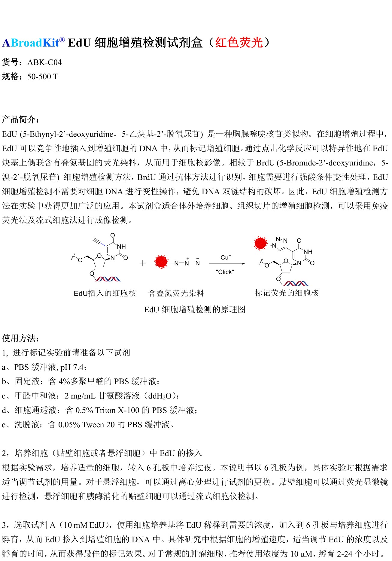 ABroadKit EdU细胞增殖试剂盒（红色荧光）使用说明书_17482374135711.jpg