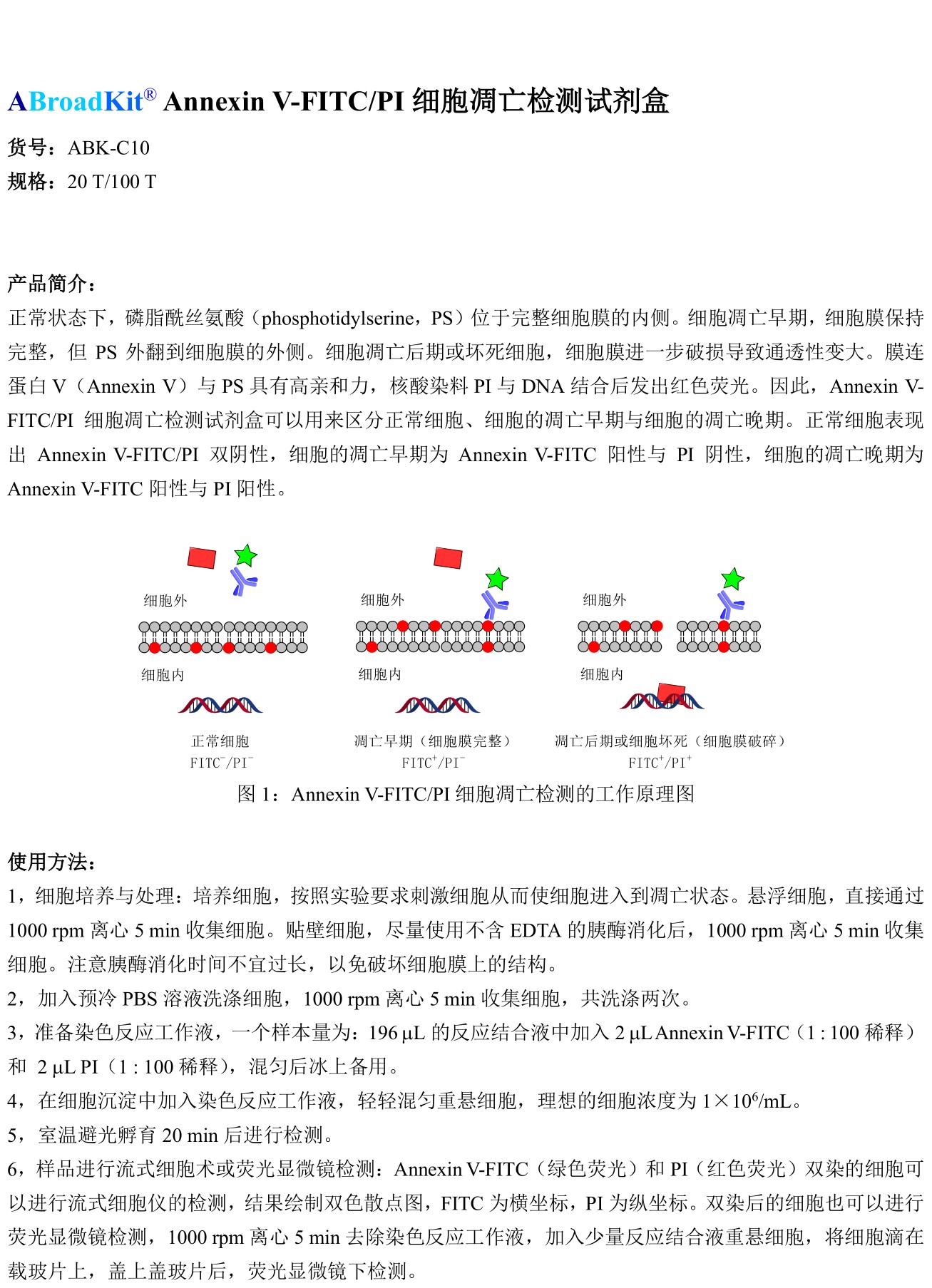 ABroadKit Annexin V-FITC细胞凋亡检测试剂盒使用说明书_17482378798551.jpg