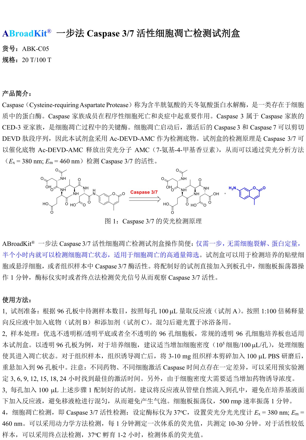 ABroadKit 一步法Caspase 3，7 活性细胞凋亡检测试剂盒 使用说明书_17511927053271.jpg