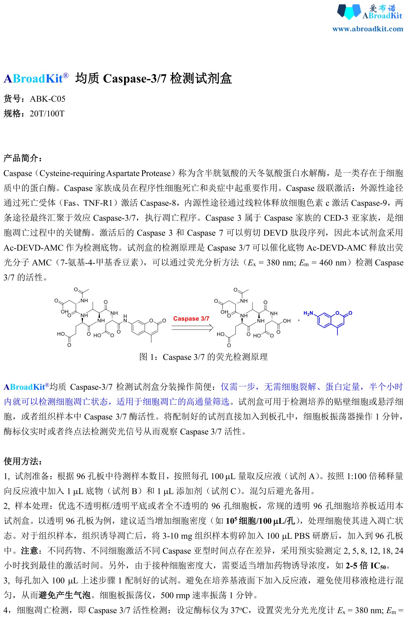 ABroadKit 均质Caspase-3 7 检测试剂盒使用说明书_17783211907451.jpg
